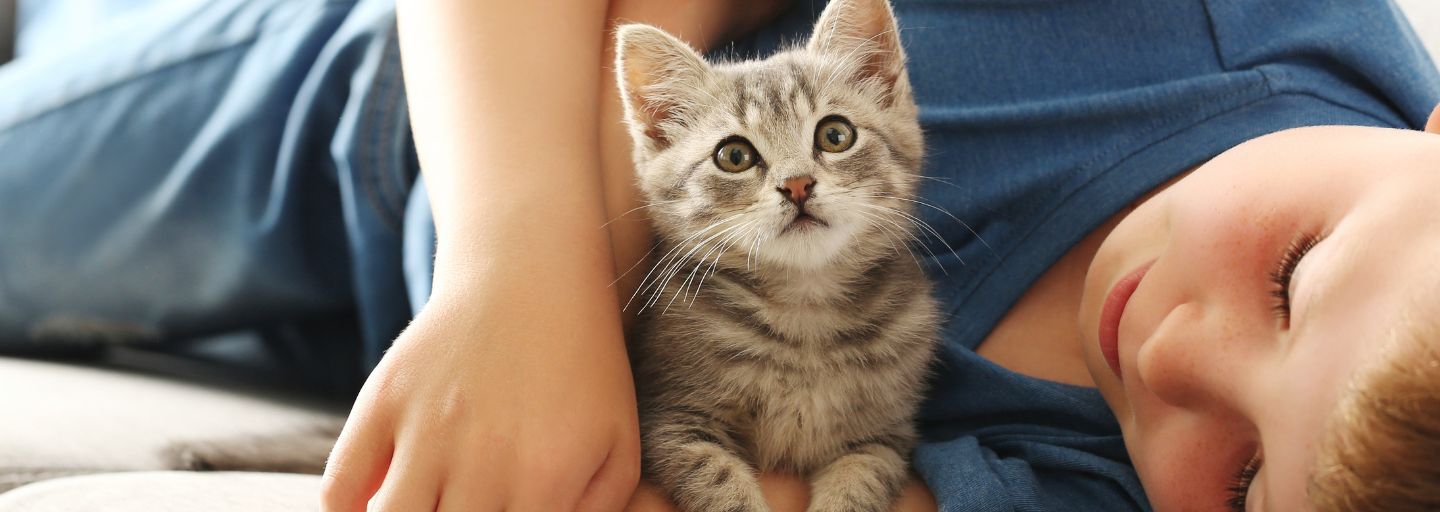 Owner laying dawn cuddling his kitten