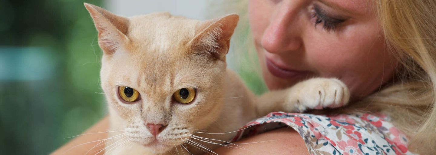 Cat on womans shoulder