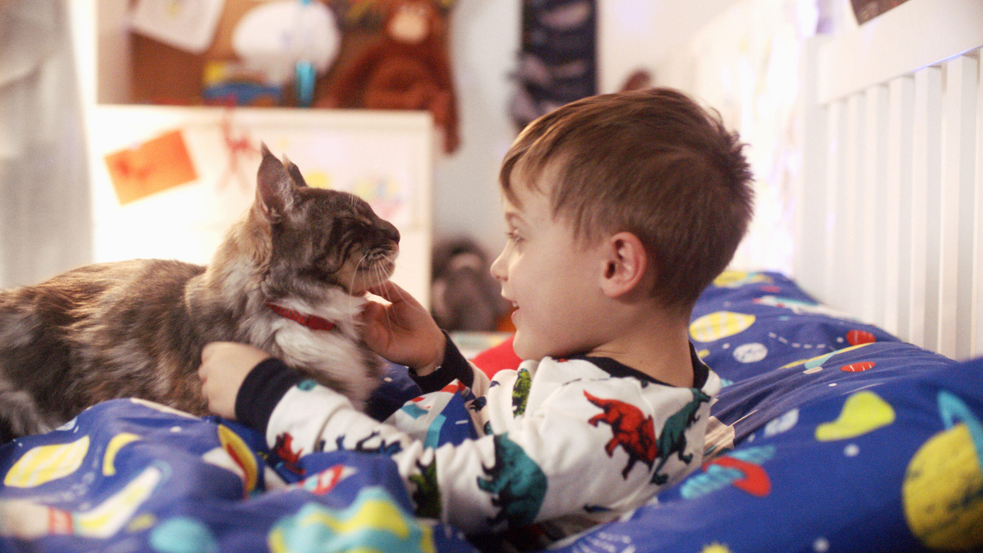 Little boy patting his cat