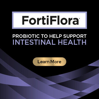 PRO PLAN Veterinary Diets - Intestinal Health