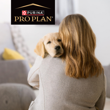 PRO PLAN puppy with woman