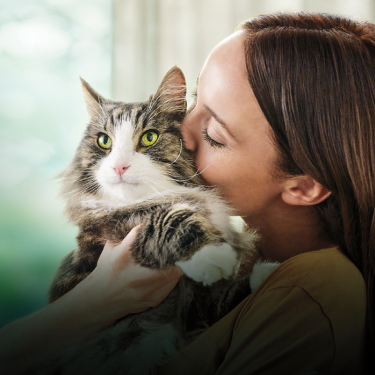 PRO PLAN woman kissing cat