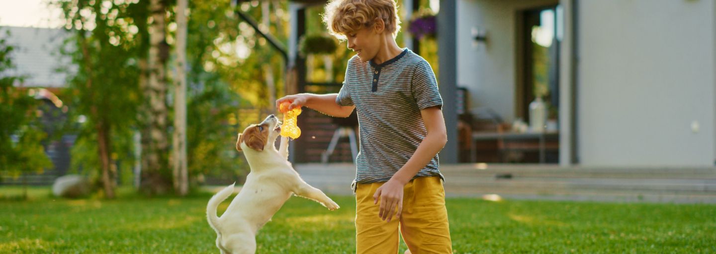 boy playing with puppy in backyard