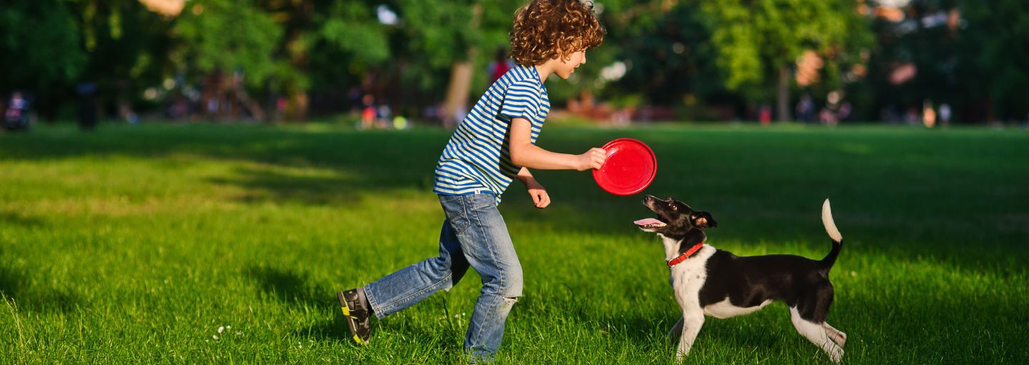 Child and dog playing frisbee in the park 