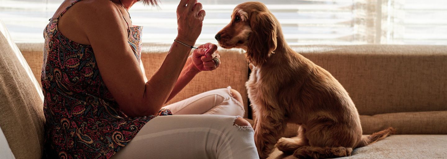 Woman and dog in a couch
