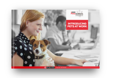 woman at work with dog on her lap while working